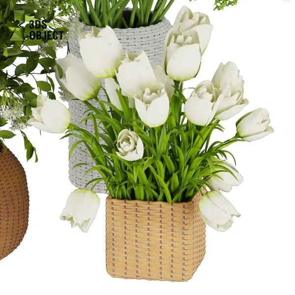 3d bouquet flower grass pampas plant models botanical Visualization Landscape Foliage Vegetation buy purchase Rendering Environment tree Design dried flower high low poly cinema 4d 3ds max blender enscpae fbx obj Rhino Sketchup lumion flower rose architecture interiordesign architectural