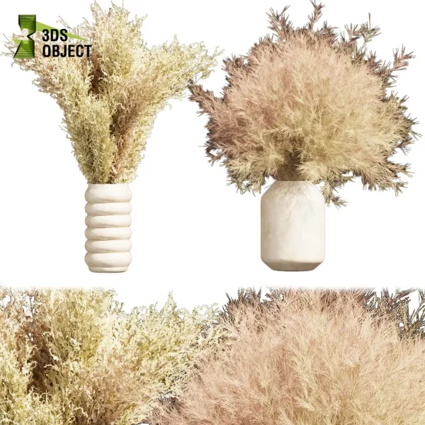 3d bouquet flower grass pampas plant models botanical Visualization Landscape Foliage Vegetation buy purchase Rendering Environment tree Design dried flower high low poly houseplant flowerpot simulator virtualdesign 3drendering rendering 3drender architecture Digital Flower Bouquets cinema 4d 3ds max blender enscpae fbx obj Rhino Sketchup lumion