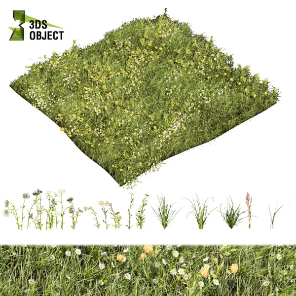 3d grass pampas autumnalis plant models botanical Visualization Landscape Foliage Vegetation buy purchase Rendering Environment tree Design high low poly scatter greenhouse balcony decorative hamedorea 3D architectural visualization cinema 4d 3ds max blender enscpae fbx obj Rhino Sketchup lumion