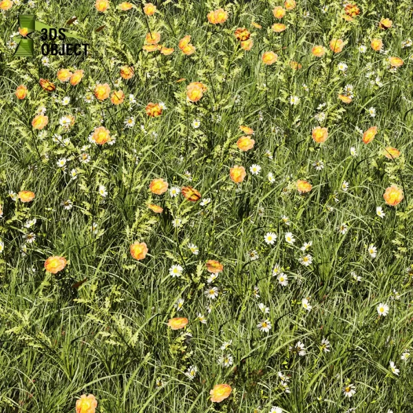 3d grass pampas autumnalis plant models botanical Visualization Landscape Foliage Vegetation buy purchase Rendering Environment tree Design high low poly scatter greenhouse balcony decorative hamedorea 3D architectural visualization cinema 4d 3ds max blender enscpae fbx obj Rhino Sketchup lumion