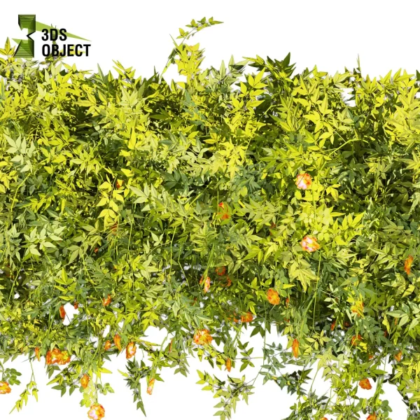 3d creeping ivy plant models botanical Visualization Landscape Foliage Vegetation buy purchase Rendering Environment tree Design high low poly blender enscpae fbx obj Rhino Sketchup lumion virtualdesign architecturevisualization 3Dmodeling