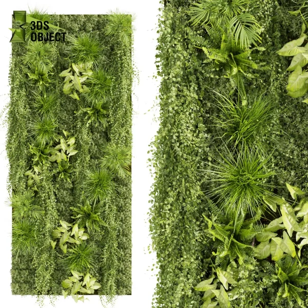 3d vertical fitowall plant models botanical Visualization Landscape Foliage Vegetation buy purchase Rendering Environment tree Design high poly Bush ivy vertical grass fern palm cinema 4d 3ds max blender enscpae fbx obj Rhino Sketchup lumion