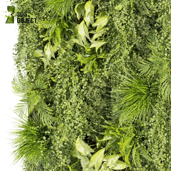 3d vertical fitowall plant models botanical Visualization Landscape Foliage Vegetation buy purchase Rendering Environment tree Design high poly Bush ivy vertical grass fern palm cinema 4d 3ds max blender enscpae fbx obj Rhino Sketchup lumion