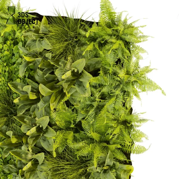 3d vertical fitowall plant models botanical Visualization Landscape Foliage Vegetation buy purchase Rendering Environment tree Design high poly Bush ivy vertical banana fern 3D architectural visualization cinema 4d 3ds max blender enscpae fbx obj Rhino Sketchup lumion