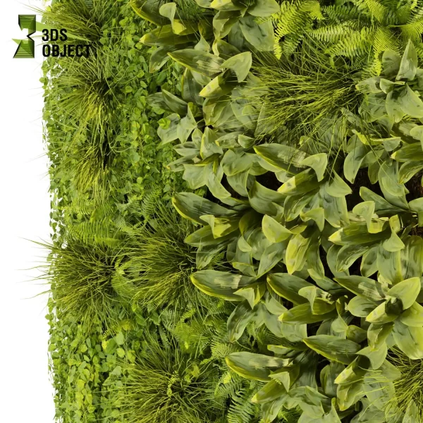 3d vertical fitowall plant models botanical Visualization Landscape Foliage Vegetation buy purchase Rendering Environment tree Design high poly Bush ivy vertical banana fern 3D architectural visualization cinema 4d 3ds max blender enscpae fbx obj Rhino Sketchup lumion