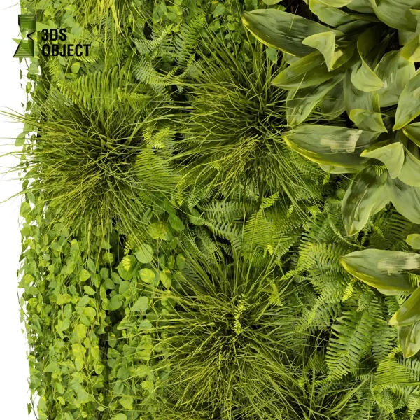 3d vertical fitowall plant models botanical Visualization Landscape Foliage Vegetation buy purchase Rendering Environment tree Design high poly Bush ivy vertical banana fern 3D architectural visualization cinema 4d 3ds max blender enscpae fbx obj Rhino Sketchup lumion