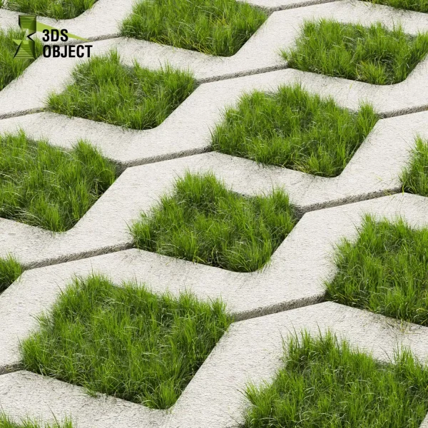 3d grass pampas autumnalis plant models botanical Visualization Landscape Foliage Vegetation buy purchase Rendering Environment tree Design high low poly switchgrass northwind 3D architectural visualization cinema 4d 3ds max blender enscpae fbx obj Rhino Sketchup lumion architectural outdoor street garden 3dart 3dmodeling Grass Creation tileable