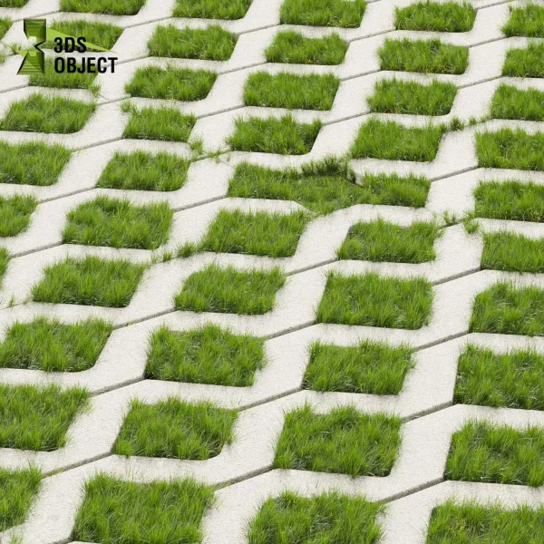 3d grass pampas autumnalis plant models botanical Visualization Landscape Foliage Vegetation buy purchase Rendering Environment tree Design high low poly switchgrass northwind 3D architectural visualization cinema 4d 3ds max blender enscpae fbx obj Rhino Sketchup lumion architectural outdoor street garden 3dart 3dmodeling Grass Creation tileable