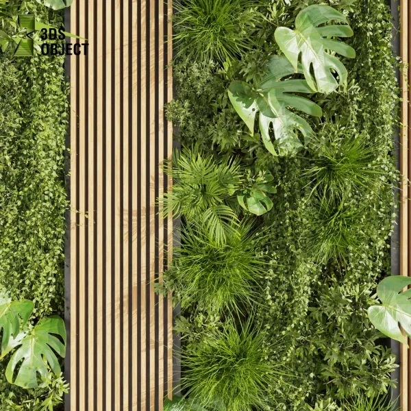 3d vertical fitowall plant models botanical Visualization Landscape Foliage Vegetation buy purchase Rendering Environment tree Design high poly Bush ivy vertical monstera grass palm Virtual Green Wall Creation Vertical Garden Design Software cinema 4d 3ds max blender enscpae fbx obj Rhino Sketchup lumion