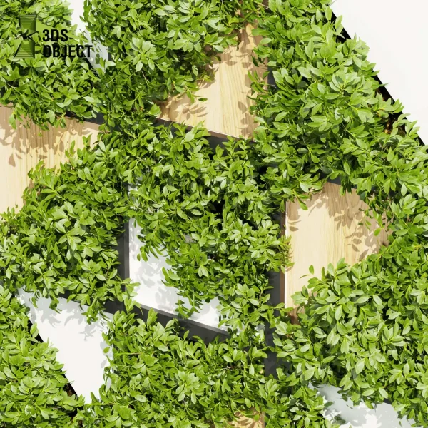 3d vertical fitowall plant models botanical Visualization Landscape Foliage Vegetation buy purchase Rendering Environment tree Design high poly planter pot greenhouse balcony decorative cinema 4d 3ds max blender enscpae fbx obj Rhino Sketchup lumion