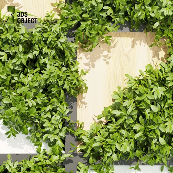 3d vertical fitowall plant models botanical Visualization Landscape Foliage Vegetation buy purchase Rendering Environment tree Design high poly planter pot greenhouse balcony decorative cinema 4d 3ds max blender enscpae fbx obj Rhino Sketchup lumion