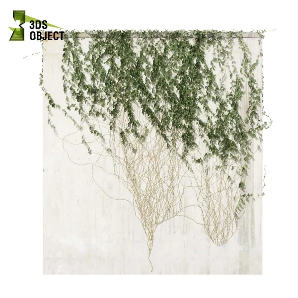 3d creeping ivy plant models botanical Visualization Landscape Foliage Vegetation buy purchase Rendering Environment tree Design high low poly hedera cinema 4d 3ds max blender enscpae fbx obj Rhino Sketchup lumion architectural