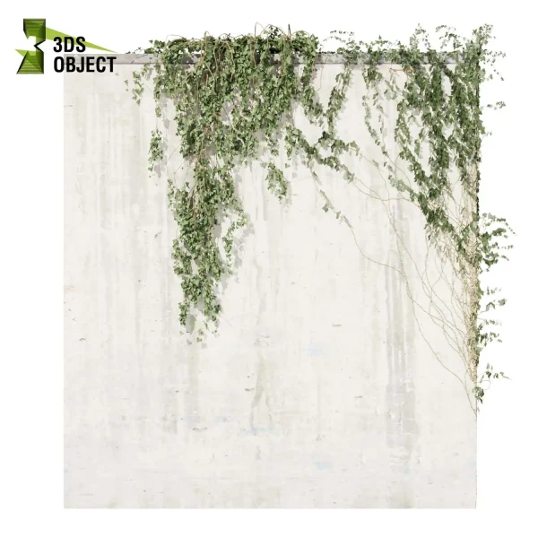 3d creeping ivy plant models botanical Visualization Landscape Foliage Vegetation buy purchase Rendering Environment tree Design high low poly hedera cinema 4d 3ds max blender enscpae fbx obj Rhino Sketchup lumion architectural