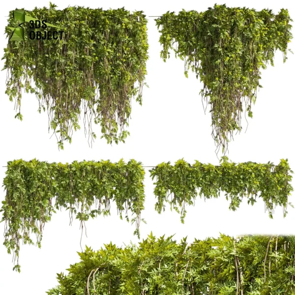 3d creeping ivy plant models botanical Visualization Landscape Foliage Vegetation buy purchase Rendering Environment tree Assorted cinema 4d 3ds max blender enscpae fbx obj Rhino Sketchup lumion architectural