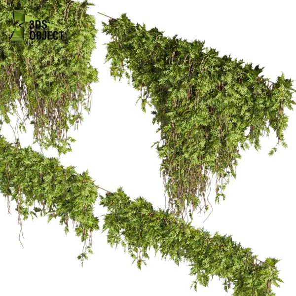3d creeping ivy plant models botanical Visualization Landscape Foliage Vegetation buy purchase Rendering Environment tree Assorted cinema 4d 3ds max blender enscpae fbx obj Rhino Sketchup lumion architectural