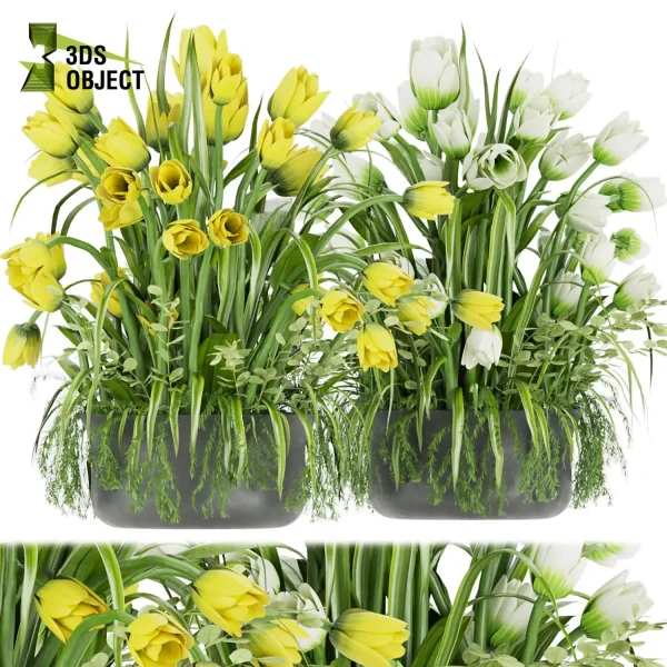 3d bouquet flower grass pampas plant models botanical Visualization Landscape Foliage Vegetation buy purchase Rendering Environment tree Design dried flower high low poly rose white yellow decorative houseplant flowerpot cinema 4d 3ds max blender enscpae fbx obj Rhino Sketchup lumion