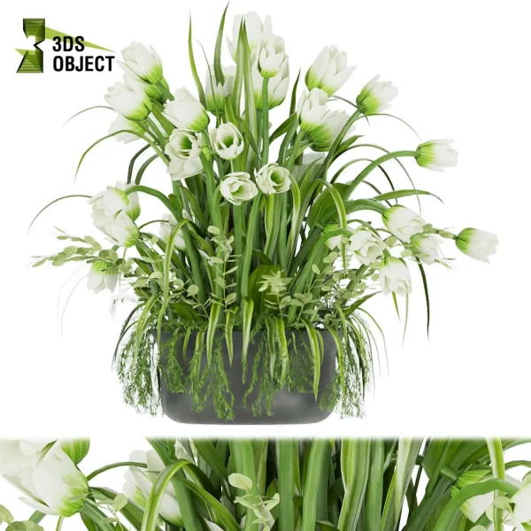 3d bouquet flower grass pampas plant models botanical Visualization Landscape Foliage Vegetation buy purchase Rendering Environment tree Design dried flower high low poly rose white yellow decorative houseplant flowerpot cinema 4d 3ds max blender enscpae fbx obj Rhino Sketchup lumion