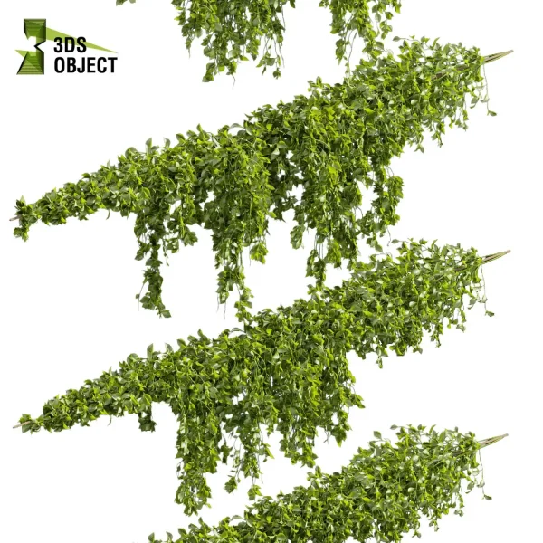 3d creeping ivy plant models botanical Visualization Landscape Foliage Vegetation buy purchase Rendering Environment tree Design high low poly decorative hamedorea indoor bush cinema 4d 3ds max blender enscpae fbx obj Rhino Sketchup lumion