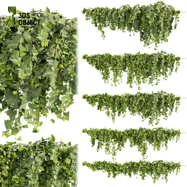3d creeping ivy plant models botanical Visualization Landscape Foliage Vegetation buy purchase Rendering Environment tree Design high low poly hedera architecturesimulation virtualrealityarchitecture designsimulation cinema 4d 3ds max blender enscpae fbx obj Rhino Sketchup lumion