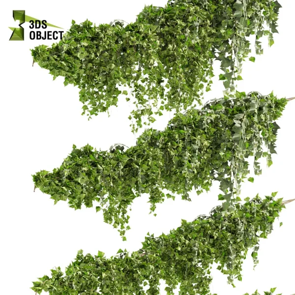 3d creeping ivy plant models botanical Visualization Landscape Foliage Vegetation buy purchase Rendering Environment tree Design high low poly decorative hamedorea indoor bush cinema 4d 3ds max blender enscpae fbx obj Rhino Sketchup lumion