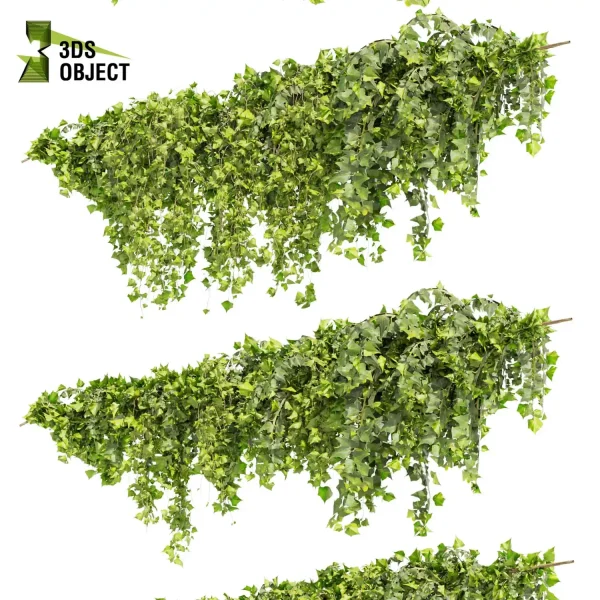 3d creeping ivy plant models botanical Visualization Landscape Foliage Vegetation buy purchase Rendering Environment tree Design high low poly decorative hamedorea indoor bush cinema 4d 3ds max blender enscpae fbx obj Rhino Sketchup lumion