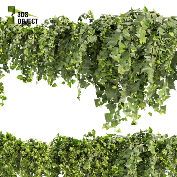 3d creeping ivy plant models botanical Visualization Landscape Foliage Vegetation buy purchase Rendering Environment tree Design high low poly decorative hamedorea indoor bush cinema 4d 3ds max blender enscpae fbx obj Rhino Sketchup lumion