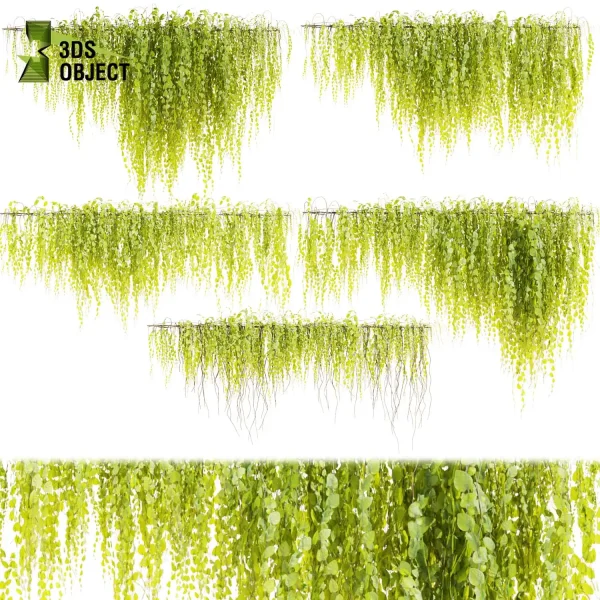 3d creeping ivy plant models botanical Visualization Landscape Foliage Vegetation buy purchase Rendering Environment tree Design high low poly virtualrealityarchitecture designsimulation vegetation modeling tool botanical architecture simulator cinema 4d 3ds max blender enscpae fbx obj Rhino Sketchup lumion