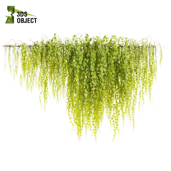 3d creeping ivy plant models botanical Visualization Landscape Foliage Vegetation buy purchase Rendering Environment tree Design high low poly virtualrealityarchitecture designsimulation vegetation modeling tool botanical architecture simulator cinema 4d 3ds max blender enscpae fbx obj Rhino Sketchup lumion