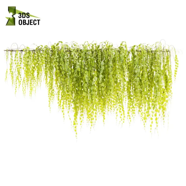 3d creeping ivy plant models botanical Visualization Landscape Foliage Vegetation buy purchase Rendering Environment tree Design high low poly virtualrealityarchitecture designsimulation vegetation modeling tool botanical architecture simulator cinema 4d 3ds max blender enscpae fbx obj Rhino Sketchup lumion