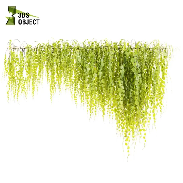 3d creeping ivy plant models botanical Visualization Landscape Foliage Vegetation buy purchase Rendering Environment tree Design high low poly virtualrealityarchitecture designsimulation vegetation modeling tool botanical architecture simulator cinema 4d 3ds max blender enscpae fbx obj Rhino Sketchup lumion