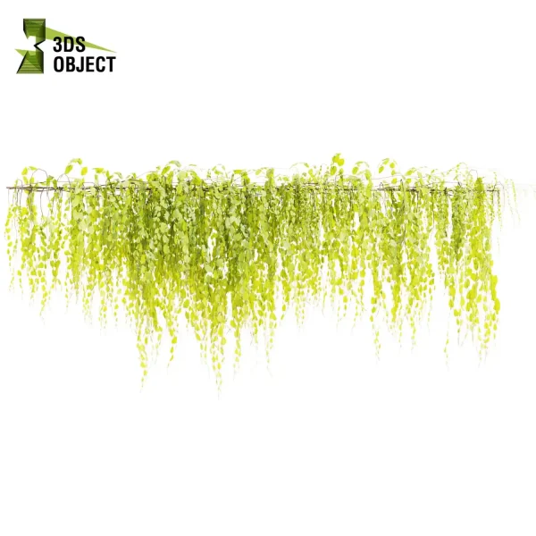 3d creeping ivy plant models botanical Visualization Landscape Foliage Vegetation buy purchase Rendering Environment tree Design high low poly virtualrealityarchitecture designsimulation vegetation modeling tool botanical architecture simulator cinema 4d 3ds max blender enscpae fbx obj Rhino Sketchup lumion