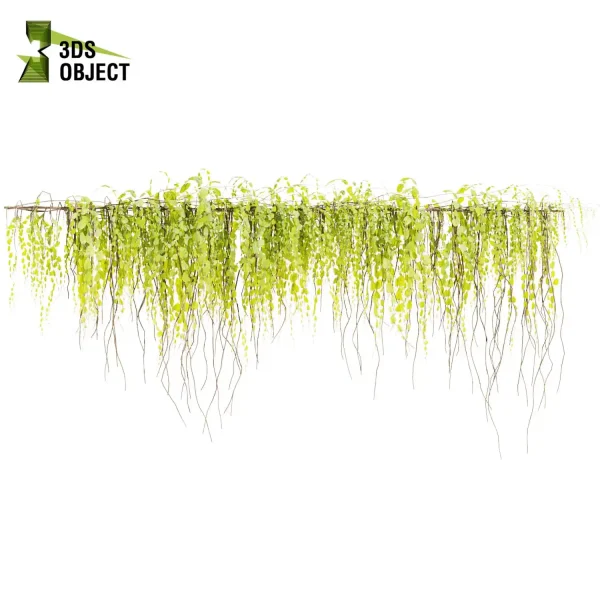 3d creeping ivy plant models botanical Visualization Landscape Foliage Vegetation buy purchase Rendering Environment tree Design high low poly virtualrealityarchitecture designsimulation vegetation modeling tool botanical architecture simulator cinema 4d 3ds max blender enscpae fbx obj Rhino Sketchup lumion