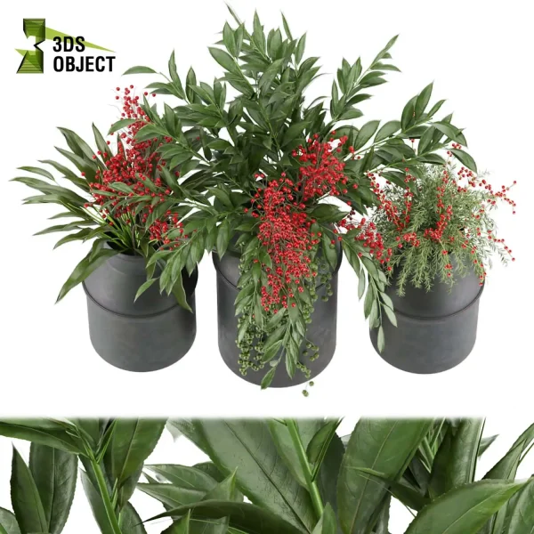 3d bouquet flower grass pampas plant models botanical Visualization Landscape Foliage Vegetation buy purchase Rendering Environment tree Design dried flower high low poly rose white yellow decorative houseplant flowerpot cinema 4d 3ds max blender enscpae fbx obj Rhino Sketchup lumion