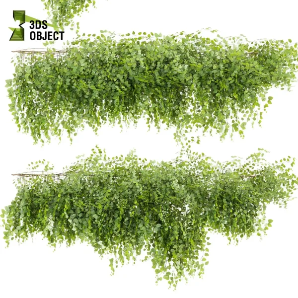 3d creeping ivy plant models botanical Visualization Landscape Foliage Vegetation buy purchase Rendering Environment tree Design high low poly architecturesimulation virtualrealityarchitecture designsimulation vegetation modeling tool botanical architecture simulator cinema 4d 3ds max blender enscpae fbx obj Rhino Sketchup lumion