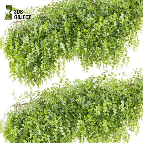 3d creeping ivy plant models botanical Visualization Landscape Foliage Vegetation buy purchase Rendering Environment tree Design high low poly architecturesimulation virtualrealityarchitecture designsimulation vegetation modeling tool botanical architecture simulator cinema 4d 3ds max blender enscpae fbx obj Rhino Sketchup lumion