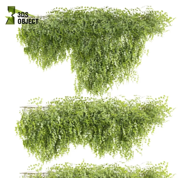 3d creeping ivy plant models botanical Visualization Landscape Foliage Vegetation buy purchase Rendering Environment tree Design high low poly architecturesimulation virtualrealityarchitecture designsimulation vegetation modeling tool botanical architecture simulator cinema 4d 3ds max blender enscpae fbx obj Rhino Sketchup lumion