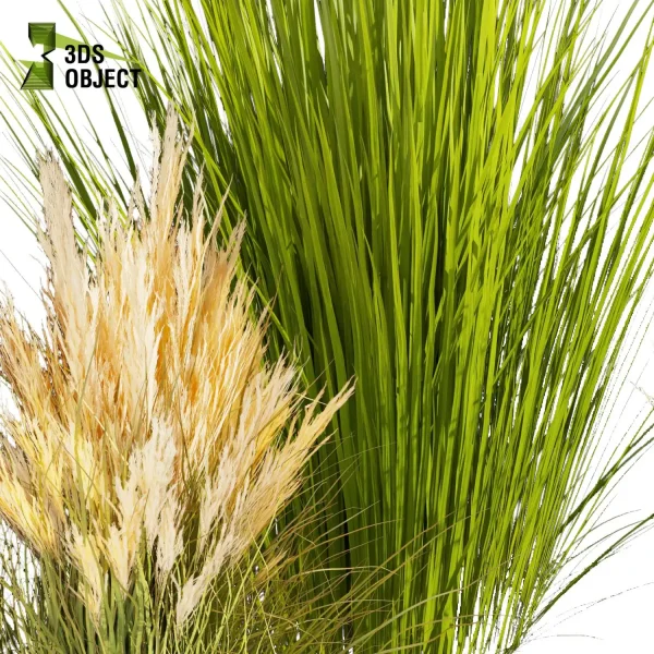 3d grass pampas autumnalis plant models botanical Visualization Landscape Foliage Vegetation buy purchase Rendering Environment tree Design high low poly switchgrass northwind 3D architectural visualization cinema 4d 3ds max blender enscpae fbx obj Rhino Sketchup lumion