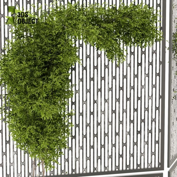 3d creeping ivy plant models botanical Visualization Landscape Foliage Vegetation buy purchase Rendering Environment tree Design high low poly 3D Creeping Plant Models Creeping Plant Assets Digital Creeping Plant Design Virtual Creeping Plant Creatio cinema 4d 3ds max blender enscpae fbx obj Rhino Sketchup lumion