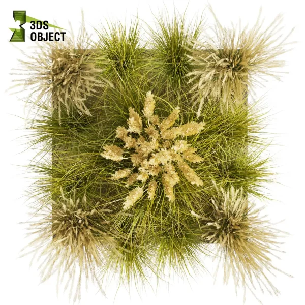 3d grass pampas autumnalis plant models botanical Visualization Landscape Foliage Vegetation buy purchase Rendering Environment tree Design high low poly switchgrass northwind 3D architectural visualization cinema 4d 3ds max blender enscpae fbx obj Rhino Sketchup lumion architectural outdoor street garden