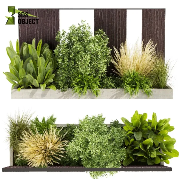 3d garden plant models botanical Visualization Landscape Foliage Vegetation Rendering Environment tree Design high poly Bush banana fern pampas grass 3D Garden Design Forest Simulation 3D Tree Generator Landscape Design Software Foliage Rendering cinema 4d 3ds max blender enscpae fbx obj Rhino Sketchup lumion
