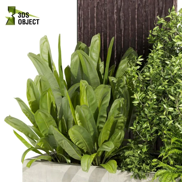 3d garden plant models botanical Visualization Landscape Foliage Vegetation Rendering Environment tree Design high poly Bush banana fern pampas grass 3D Garden Design Forest Simulation 3D Tree Generator Landscape Design Software Foliage Rendering cinema 4d 3ds max blender enscpae fbx obj Rhino Sketchup lumion