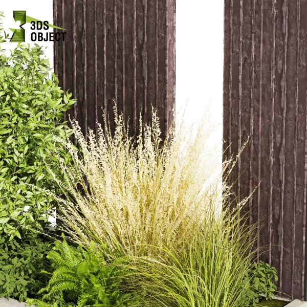 3d garden plant models botanical Visualization Landscape Foliage Vegetation Rendering Environment tree Design high poly Bush banana fern pampas grass 3D Garden Design Forest Simulation 3D Tree Generator Landscape Design Software Foliage Rendering cinema 4d 3ds max blender enscpae fbx obj Rhino Sketchup lumion