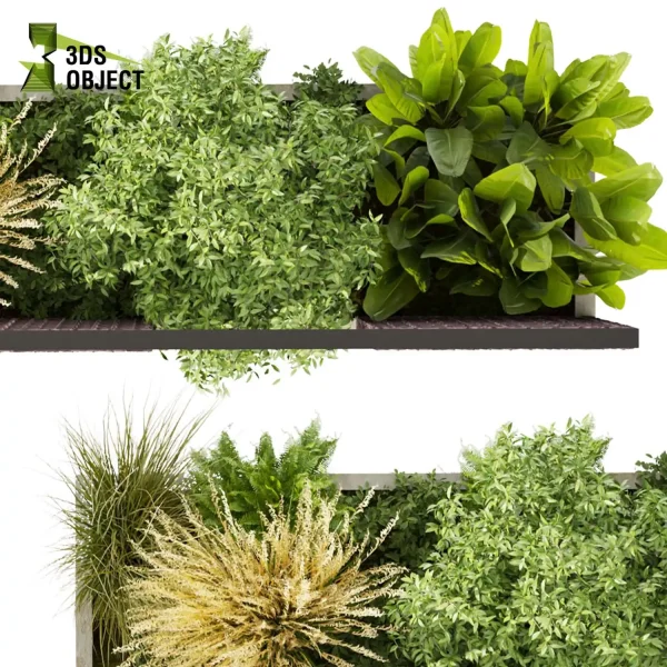 3d garden plant models botanical Visualization Landscape Foliage Vegetation Rendering Environment tree Design high poly Bush banana fern pampas grass 3D Garden Design Forest Simulation 3D Tree Generator Landscape Design Software Foliage Rendering cinema 4d 3ds max blender enscpae fbx obj Rhino Sketchup lumion