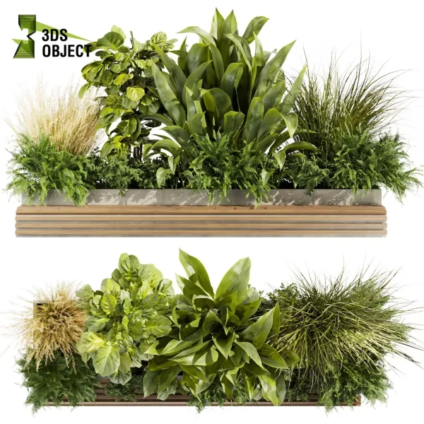 3d garden plant models botanical Visualization Landscape Foliage Vegetation Rendering Environment tree Design high poly Bush banana fiddle grass fern pampas cinema 4d 3ds max blender enscpae fbx obj Rhino Sketchup lumion vegetation modeling tool botanical architecture simulator