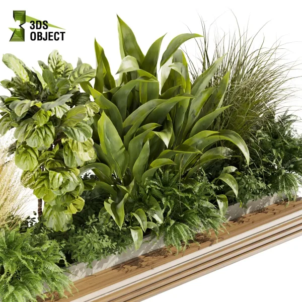 3d garden plant models botanical Visualization Landscape Foliage Vegetation Rendering Environment tree Design high poly Bush banana fiddle grass fern pampas cinema 4d 3ds max blender enscpae fbx obj Rhino Sketchup lumion vegetation modeling tool botanical architecture simulator