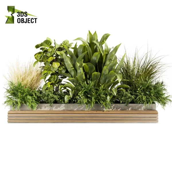 3d garden plant models botanical Visualization Landscape Foliage Vegetation Rendering Environment tree Design high poly Bush banana fiddle grass fern pampas cinema 4d 3ds max blender enscpae fbx obj Rhino Sketchup lumion vegetation modeling tool botanical architecture simulator