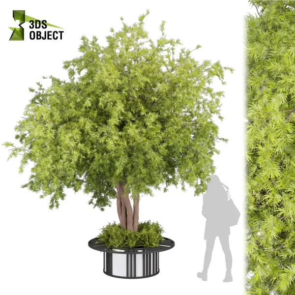 3d bouquet tree plant models botanical Visualization Landscape Foliage Vegetation buy purchase Rendering Environment tree Design dried flower high low poly cinema 4d 3ds max blender enscpae fbx obj Rhino Sketchup lumion acer
