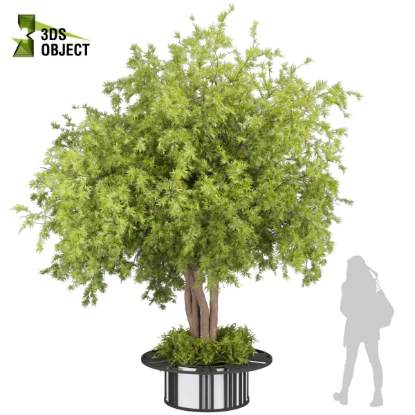 3d bouquet tree plant models botanical Visualization Landscape Foliage Vegetation buy purchase Rendering Environment tree Design dried flower high low poly cinema 4d 3ds max blender enscpae fbx obj Rhino Sketchup lumion acer