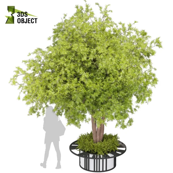 3d bouquet tree plant models botanical Visualization Landscape Foliage Vegetation buy purchase Rendering Environment tree Design dried flower high low poly cinema 4d 3ds max blender enscpae fbx obj Rhino Sketchup lumion acer