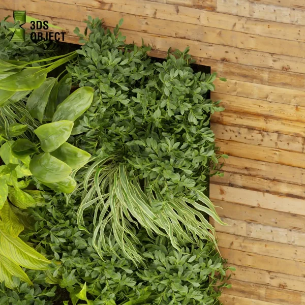 3d vertical fitowall plant models botanical Visualization Landscape Foliage Vegetation buy purchase Rendering Environment tree Design high poly Bush fern palm banana corton planter pot greenhouse balcony decorative cinema 4d 3ds max blender enscpae fbx obj Rhino Sketchup lumion